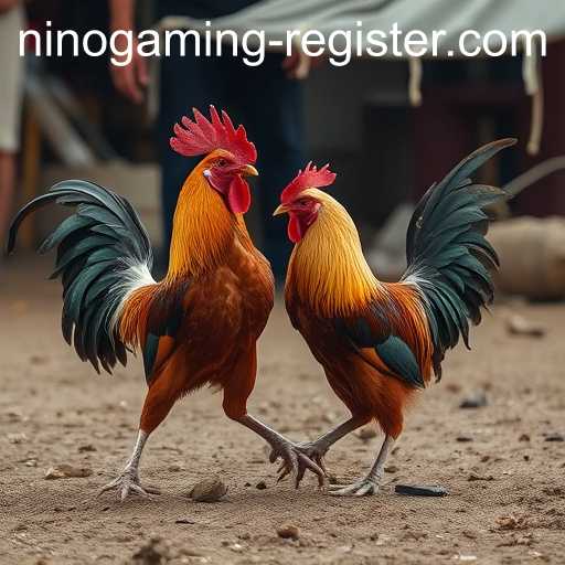 Cockfighting